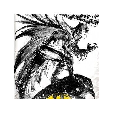 Gultas veļas komplekts BATMAN FLIGHT, 140x200 cm