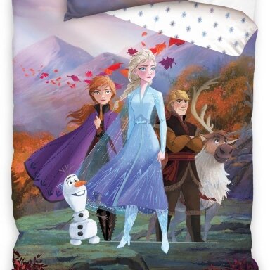 Gultas veļas komplekts FROZEN STORY, 140x200 cm