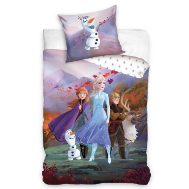 Gultas veļas komplekts FROZEN STORY, 140x200 cm