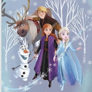 Gultas veļas komplekts FROZEN FAMILY STORY, 140x200 cm