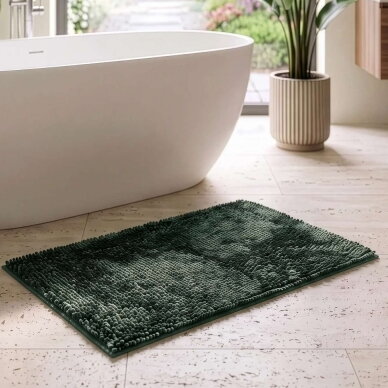 Vannas istabas paklājiņš ar garu plūksnojumu SHAGGY MINT, 50x70 cm Vannas istabas paklājiņš ar garu plūksnojumu SHAGGY MINT, 50x70 cm